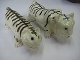 IMG_1126 IMG_1126