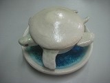 IMG_0584 IMG_0584