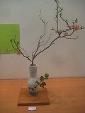 IMG_1343 IMG_1343