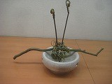 IMG_1326 IMG_1326