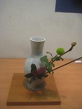 IMG_1381 IMG_1381