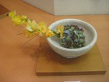 IMG_1219 IMG_1219