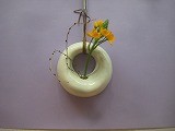IMG_1233 IMG_1233