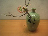 IMG_1247 IMG_1247