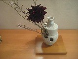 IMG_1270 IMG_1270