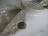 IMG_1911 IMG_1911