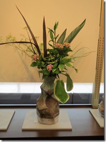 IMG_4823 IMG_4823