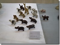 IMG_5071 IMG_5071
